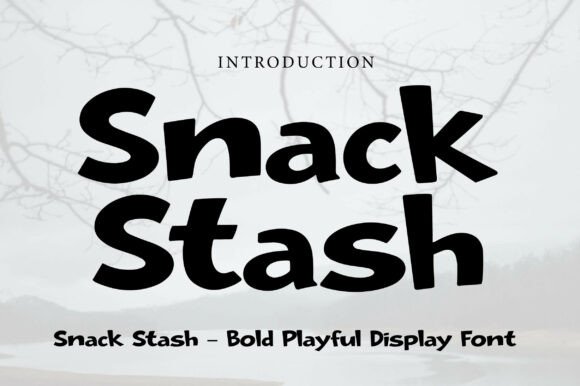 Snack Stash: Injecting Vibrant Personality into Modern Design